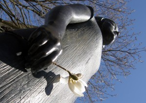 Spring song: Karin Boye with blossom