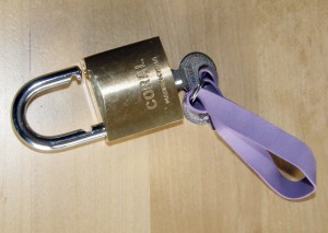 Rollercoaster: Padlock and wristband