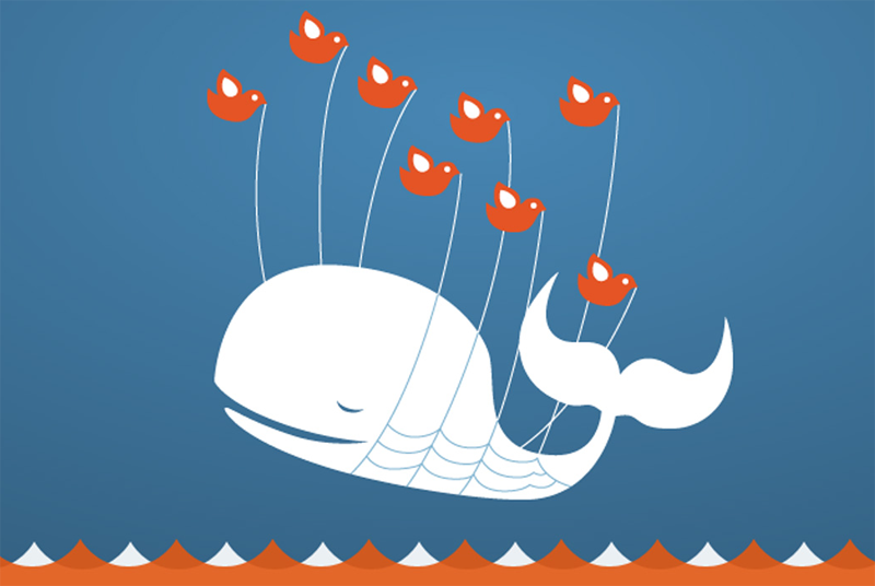 All a-twitter - The Twitter fail whale
