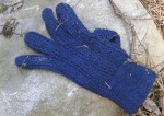 Blue woolen glove, Hisingsparken, Gothenburg, Sweden 26 Mar '11 14.07