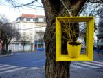 Yellow frame with street