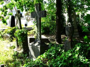 Deiweg cemetary: Overgrown tombs