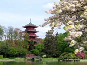 Royal Pagoda and blossom