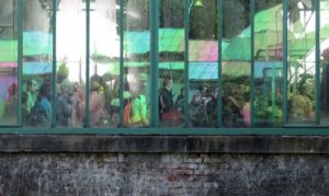 Royal tourists reflected in royal greenhouse glass