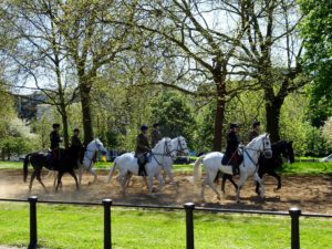 London green: Cavalry horses exercising on Rotten Row in Hyde Park