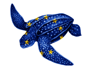 EU turtle