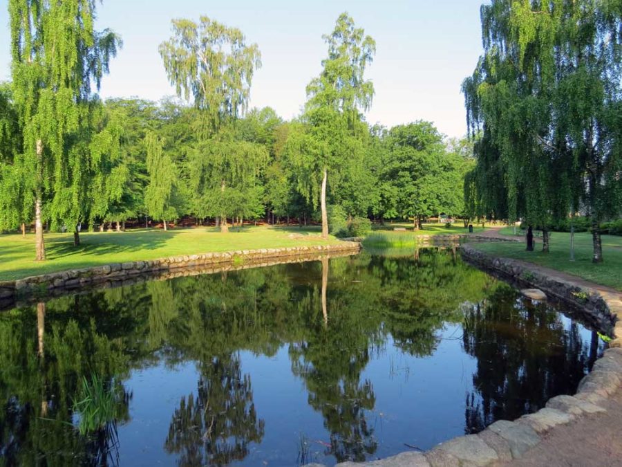 Reflective pond in Keillers Park, Ramberget