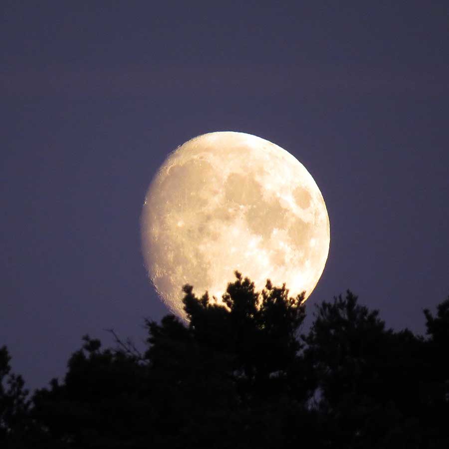 July in Photography: Moonrise over Ramberget