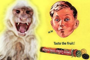 Monkey trauma: Angry monkey with another Rowntree's ad