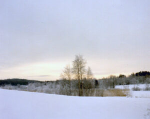 Skiing: Trees over the winter hill