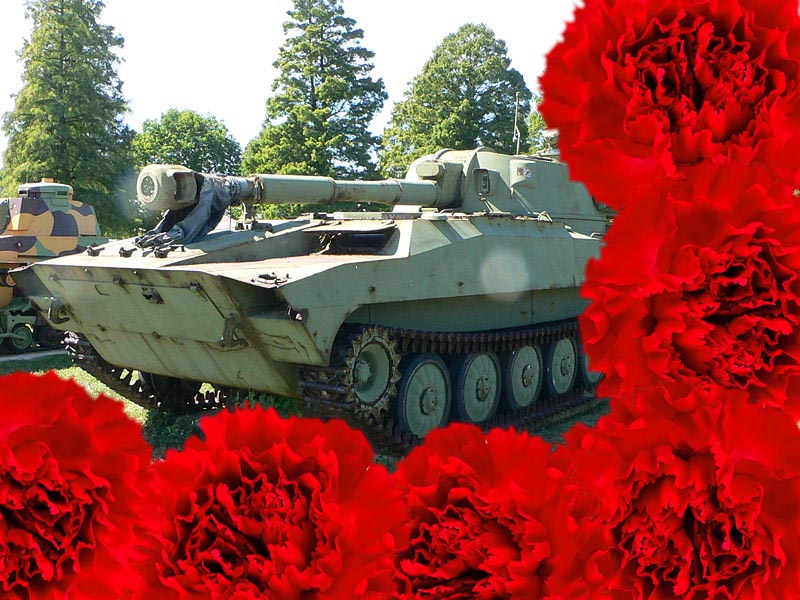 Weapons and carnations1: Gvozdika-Carnation with carnations