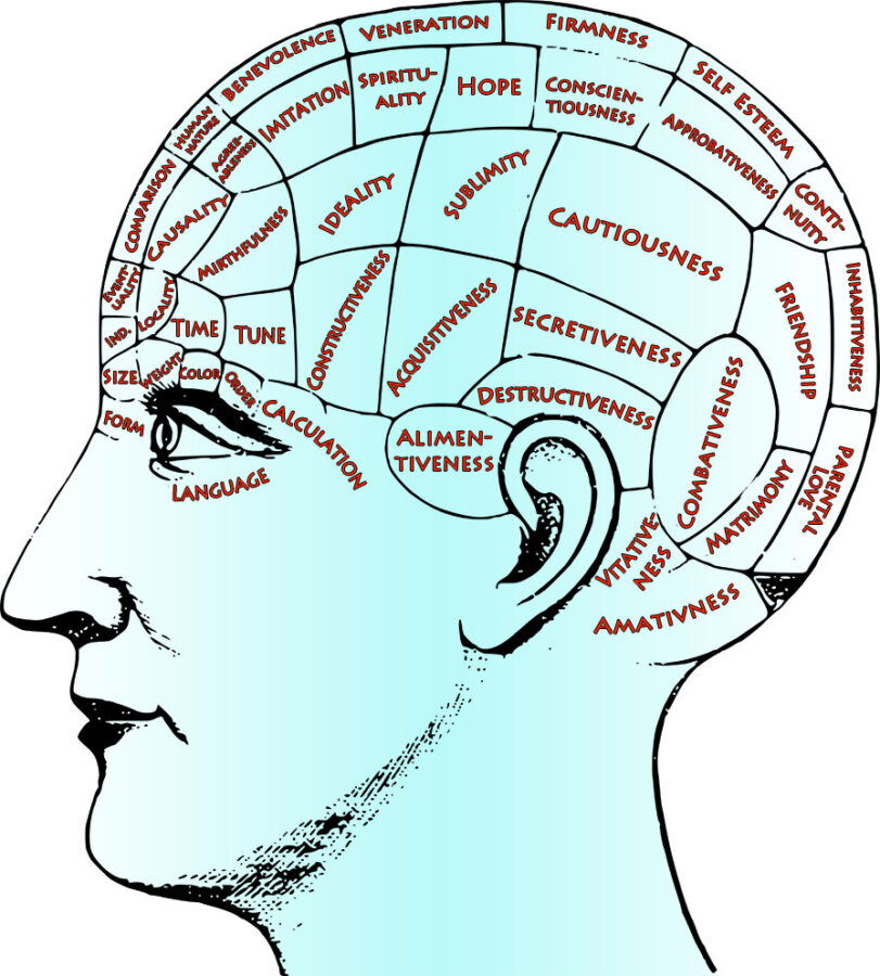 A phrenological head showing the different areas of the skull phrenologists associated with different characteristics. Produced for the hatter perhaps!